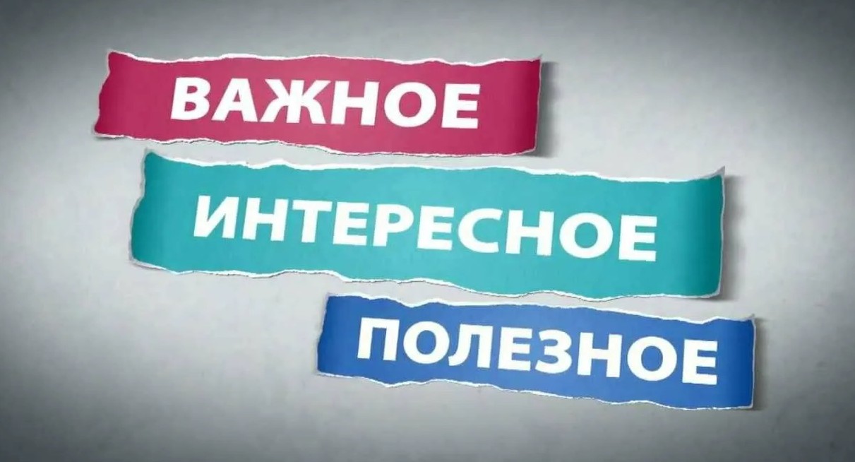 Минпросвещения предложило ветеранам СВО принимать участие в занятиях «Разговоры о важном»