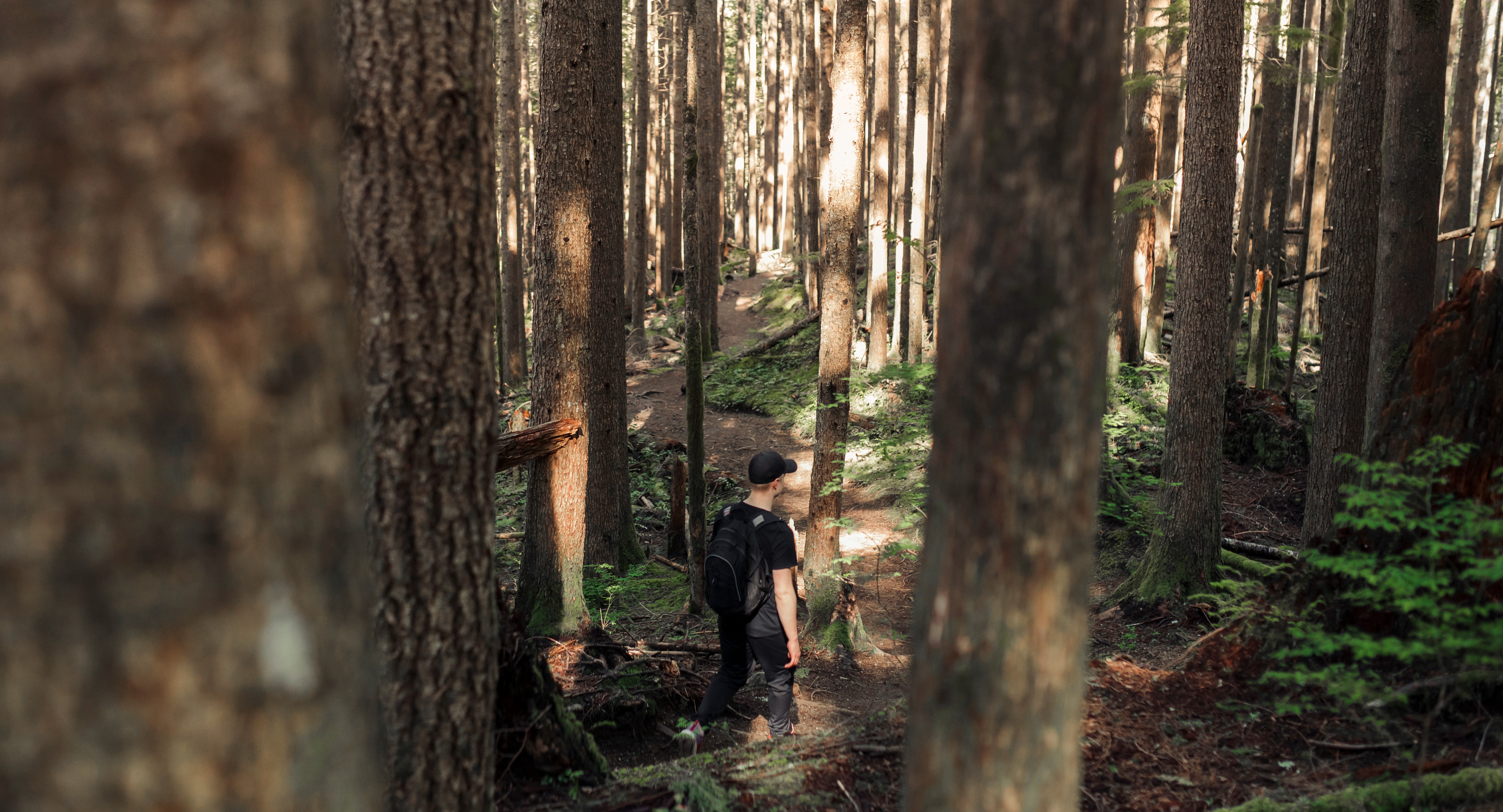 В школе США учитель вместо наказания трудных подростков организовала походы в лес