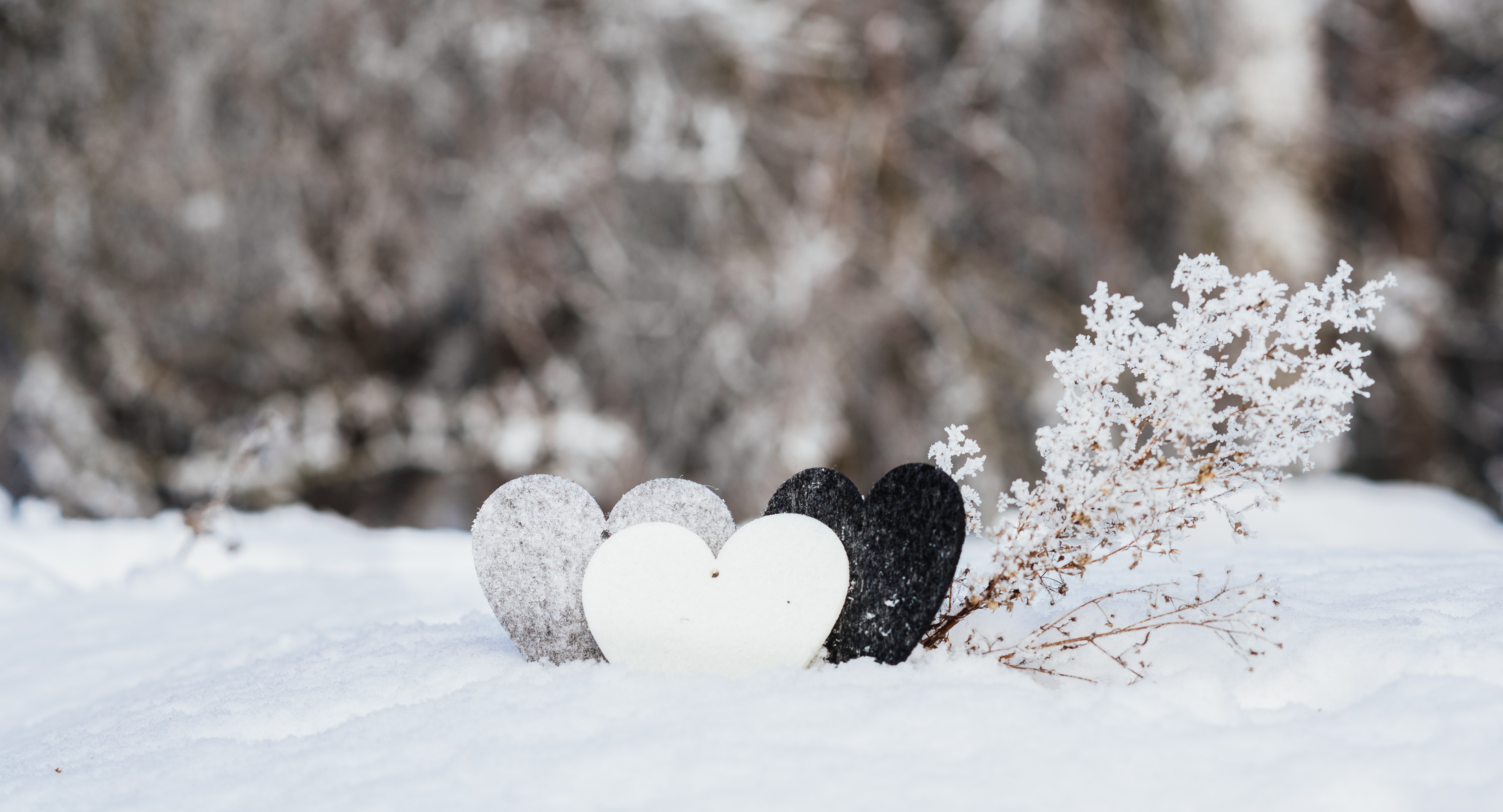 Мир в объятиях Татьяны