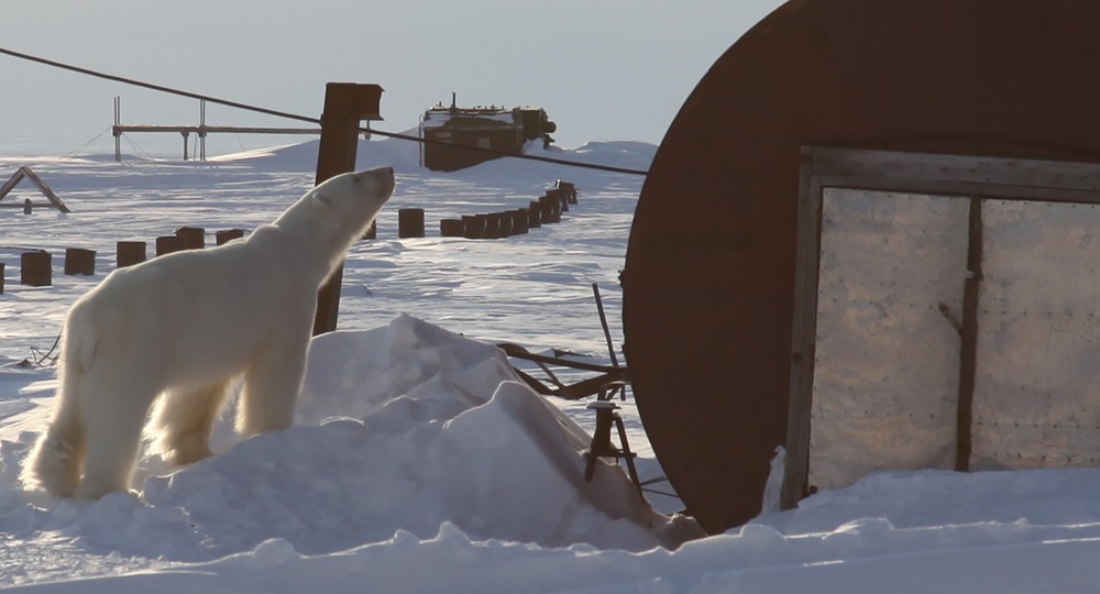 Первый арктический вуз на Ямале могут создать в Ноябрьске