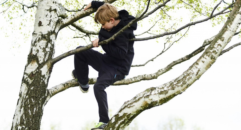 Мальчишки на дереве. I can Climb a Tree. Как поднимаются по деревьям в Аменике.