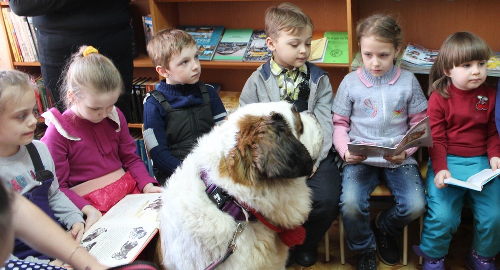В пермской библиотеке собаки помогают детям учиться читать