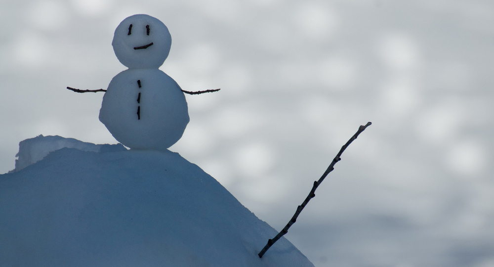 В Алтайском крае появился 7-метровый снеговик 