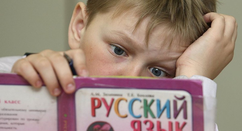 Русский язык для школьников и для лингвистов – два разных русских языка?