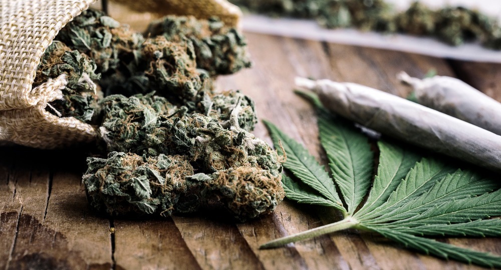 Исследование: американские подростки теряют интерес к марихуане, если она легализована