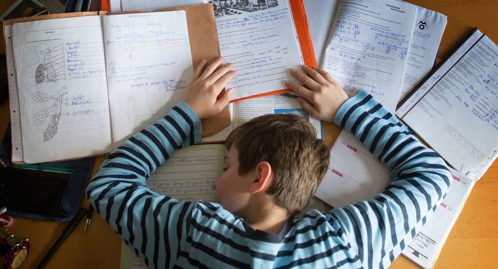 Нынешние домашние задания чаще раздражают, чем мотивируют