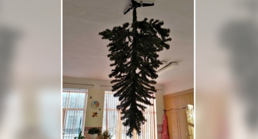 Креативная идея: В Омске родители дошкольников  прибили елку к потолку