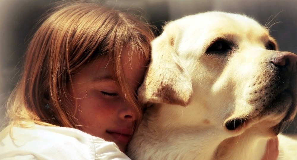  «Эффект питомца»: как забота о собаках меняет качество жизни человека