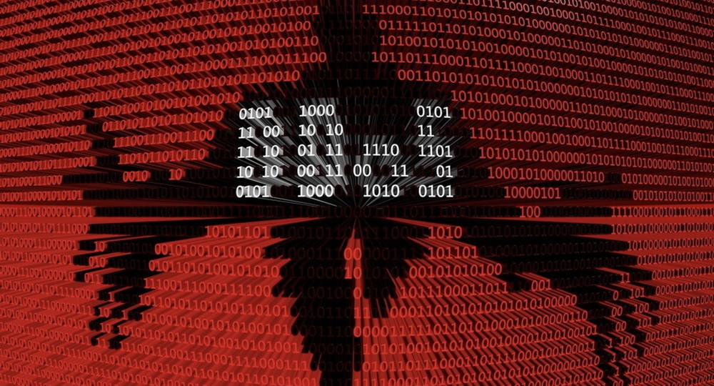 Количество хакерских атак на образовательные учреждения в России за год выросло на 118%
