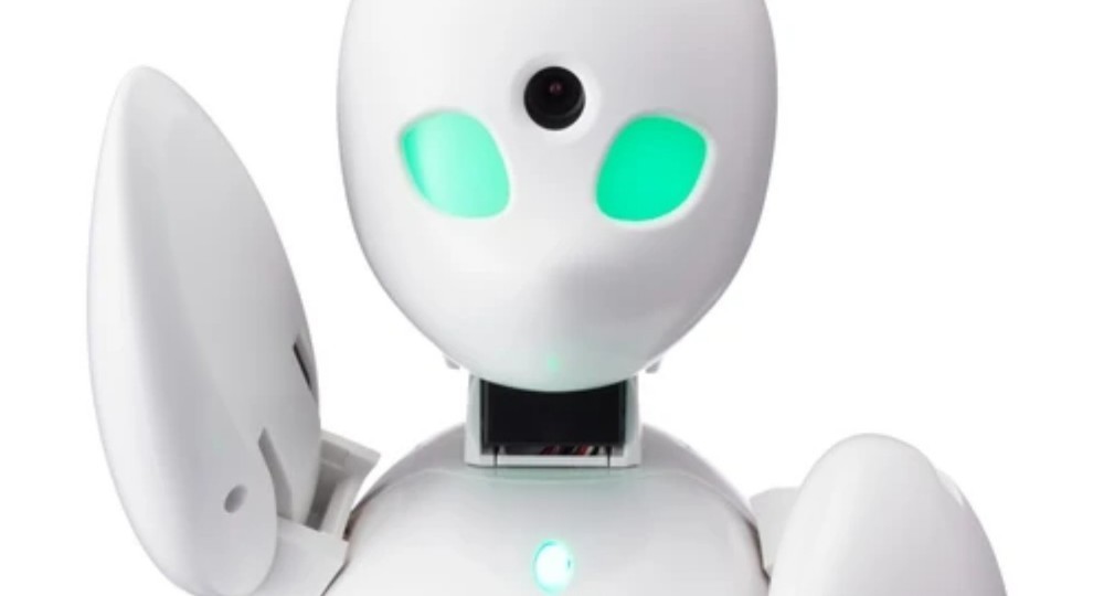 В Японии социальным отшельникам выдали роботов для общения с окружающими
