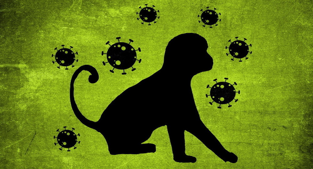 В Роспотребнадзоре сравнили заразность оспы обезьян и коронавируса