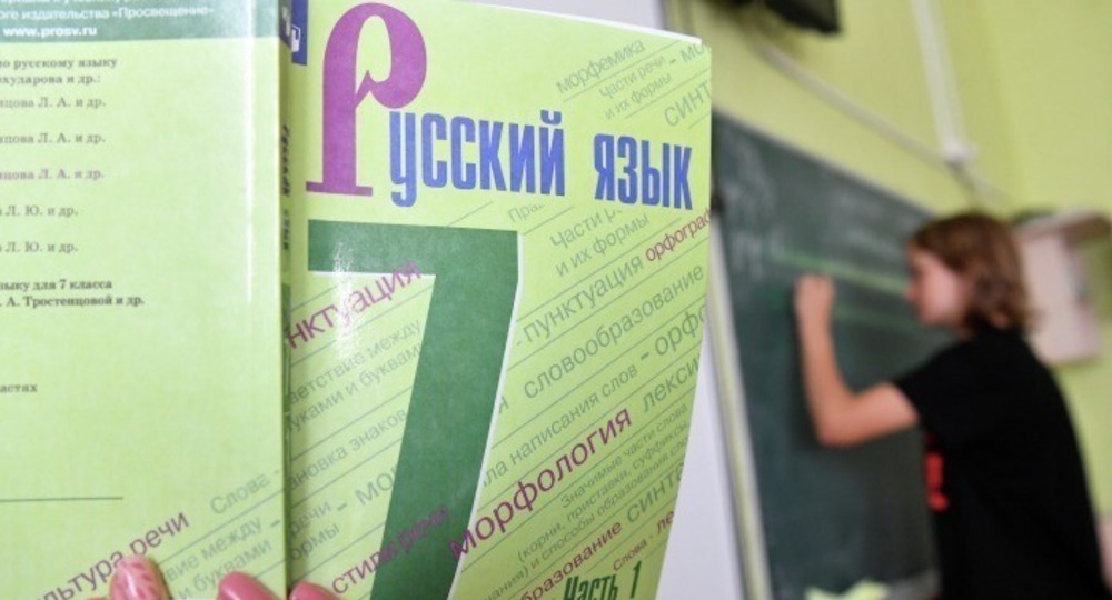 Кравцов анонсировал появление курсов русского языка для детей мигрантов