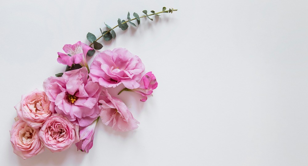 Елена Полонская (Сазонова): «В гимназии родилось огромное количество новых идей, поддержанных Любовью Плаховой» Елена Полонская (Сазонова): «В гимназии родилось огромное количество новых идей, поддержанных Любовью Плаховой»