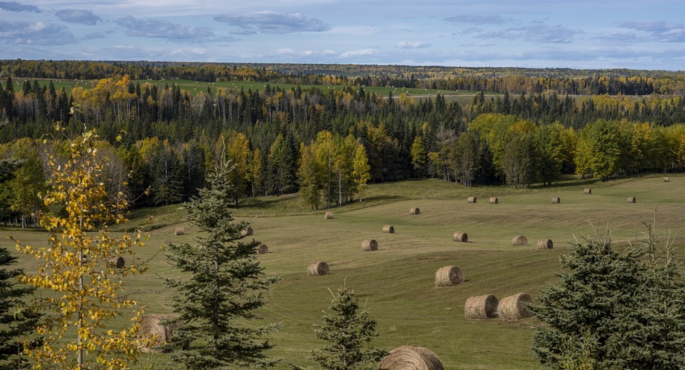 В Ясной Поляне очень любят детей В Ясной Поляне очень любят детей