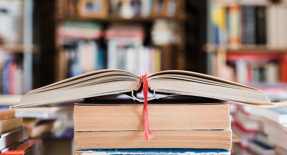 «Урок литературы – не факты, аргументы, а открытия!» «Урок литературы – не факты, аргументы, а открытия!»