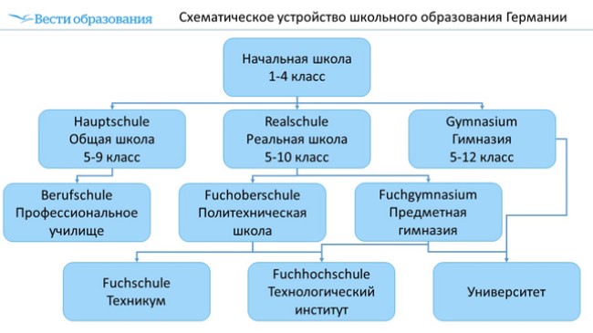 Система образования в германии схема