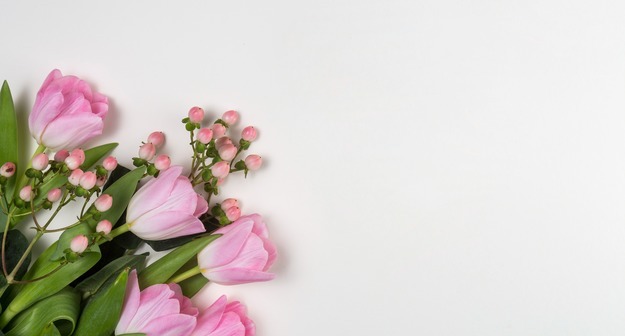 Middle size 1757665544