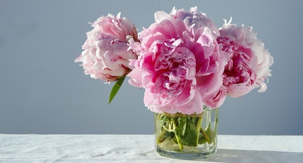 Middle size 1757666284