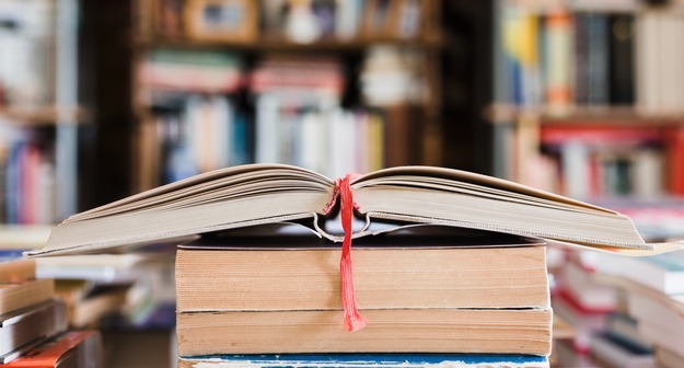 «Урок литературы – не факты, аргументы, а открытия!»