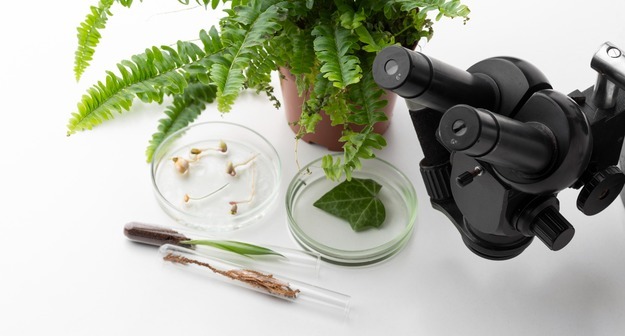 ЯКласс проанализировал задания школьных олимпиад и определил, какие навыки они проверяют ЯКласс проанализировал задания школьных олимпиад и определил, какие навыки они проверяют