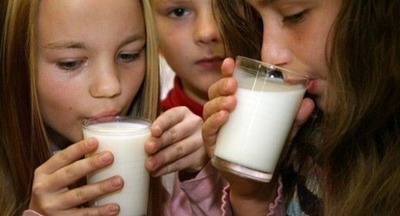 В Госдуме предлагают бесплатно выдавать молоко всем учащимся