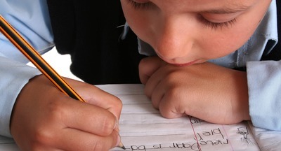 Французский национальный совет по оцениванию школьной системы советует учить всех учителей преподаванию письменной речи