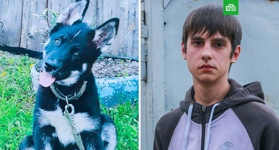 Подростку грозит 2 года за удар по машине, сбившей его щенка