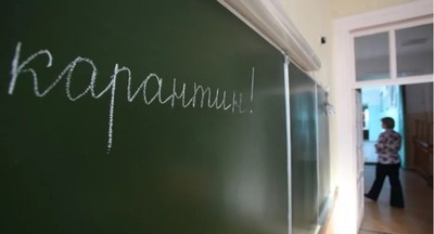 В одной из школ Челябинской области массовое заболевание лишаем 