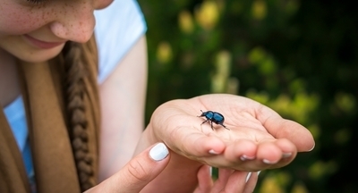 Ученые назвали новый вид жуков в честь Греты Тунберг