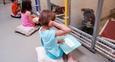 Дети читают вслух в приюте для животных, чтобы помочь запуганным и застенчивым собакам адаптироваться 