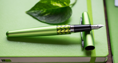 Туркменские учителя должны пользоваться ручками и блокнотами зеленого цвета