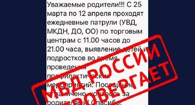 В Хабаровском крае распространили фейки о проверках детей в ТЦ и школах