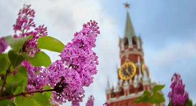  В Москве приостановят дистанционное обучение с 1 по 11 мая