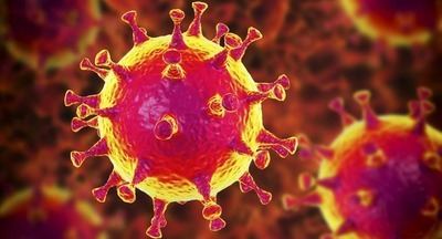 Названо условие остановки распространения коронавируса в России