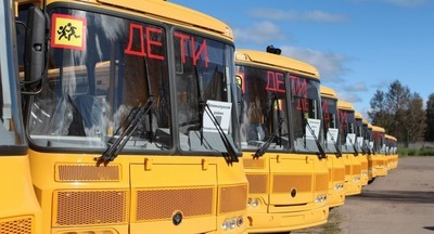 Правительство выделит средства для закупки школьных автобусов