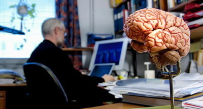 Google и Гарвард создали самую детализированную 3D-карту человеческого мозга