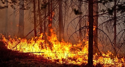 Подросток из Карелии стал добровольным пожарным, чтобы спасать леса 