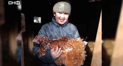 В Калининграде школьник помог родителям оплатить ипотечный взнос, выращивая цыплят