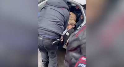 В Петербурге полицейские жестко задержали 14-летнюю девочку за переход дороги в неположенном месте