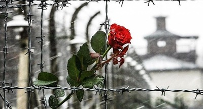 Международный День Холокоста: как СПЧ и Минпрос услышали друг друга