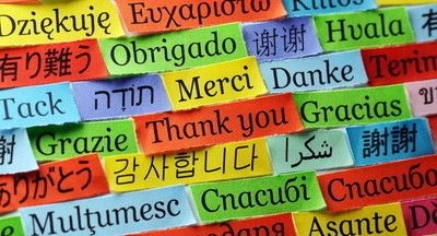 164 участника ЕГЭ по иностранным языкам получили на экзамене максимальные 100 баллов