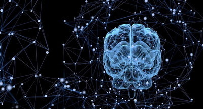 Нейросети научились визуализировать мысли человека по активности мозга