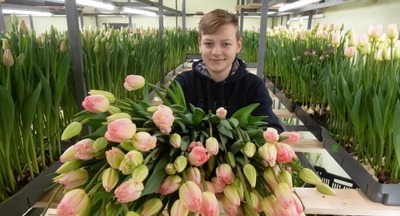 Школьник из Ленобласти вырастил к 14 Февраля 35 тысяч тюльпанов