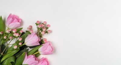 Ирина Бабурина: «Серия книг Любови Плаховой стала настоящим бестселлером и настольной книгой в работе многих директоров Москвы»